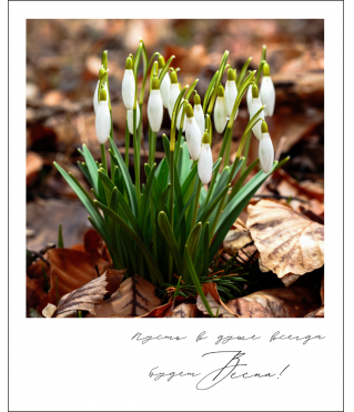 Открытка "Полароид" 11*9 см, дизайн 174