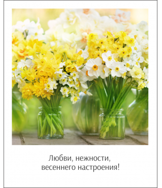 Открытка "Полароид" 11*9 см, дизайн 177