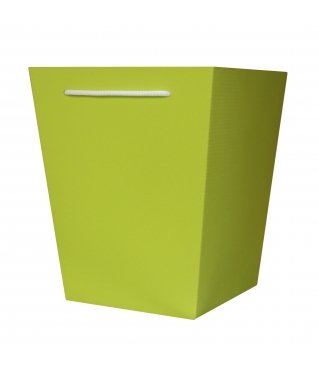 Коробка для транспортировки цветов 250*210*150 мм, дизайн 19