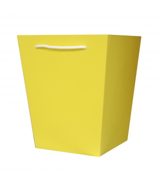 Коробка для транспортировки цветов 250*210*150 мм, дизайн 21