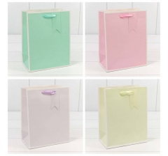 Пакет подарочный Однотонный в рамке (микс) 18*23*10 210г 1/20 1/480
