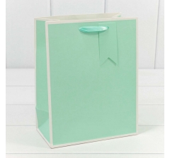 Пакет подарочный Однотонный в рамке (микс) 18*23*10 210г 1/20 1/480