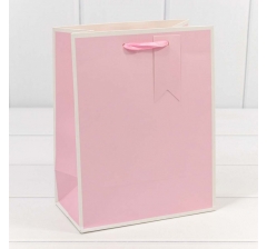 Пакет подарочный Однотонный в рамке (микс) 18*23*10 210г 1/20 1/480