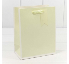 Пакет подарочный Однотонный в рамке (микс) 18*23*10 210г 1/20 1/480