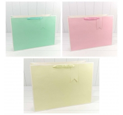 Пакет подарочный Однотонный в рамке (микс) 55*40*20 230г 1/20 1/80