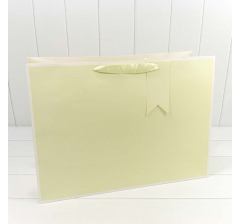 Пакет подарочный Однотонный в рамке (микс) 55*40*20 230г 1/20 1/80