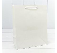 Пакет подарочный Крафт "Люкс" 26*32*13 210г Белый 1/10 1/240