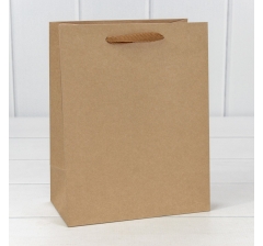 Пакет подарочный Крафт "Люкс" 18*23*10 210г 1/20 1/360