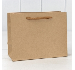 Пакет подарочный Крафт "Люкс" 23*18*10 210г 1/20 1/360