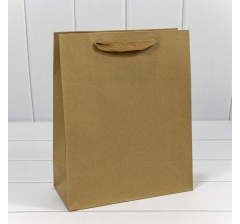 Пакет подарочный Крафт 26*32*12 170г 1/20 1/240