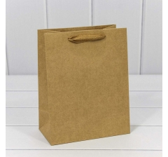 Пакет подарочный Крафт 18*23*10 170г 1/20 1/360