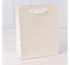 Пакет подарочный Крафт Белый 18*23*10 180г 1/10 1/360