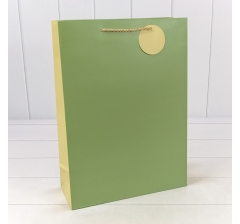 Пакет подарочный матовый Бледно-зелёный 30*41,5*12 210г 1/20 1/80