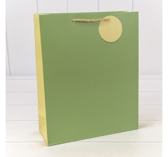 Пакет подарочный матовый Бледно-зелёный 26*32*10 210г 1/20 1/240