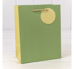 000280E/2	4657832165290	Пакет подарочный матовый Бледно-зелёный 18*23*10 210г 1/20 1/360	80	шт