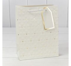 Пакет подарочный с тиснением "Цветочки" (микс 2) 18*23*10 210г 1/20 1/360