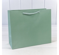 000890CA/5	4657832161995	Пакет подарочный "Фактура-890" Бледно-зелёный 31*26*12 210г 1/20 1/240	60	шт