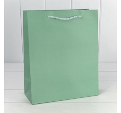 Пакет подарочный "Фактура-890" Бледно-зелёный 26*32*12 210г 1/20 1/240