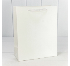 Пакет подарочный "Фактура-890" Белый 18*23*10 210г 1/20 1/160