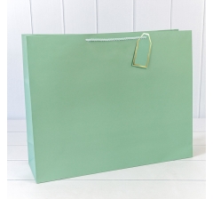 Пакет подарочный "Фактура-890" Бледно-зелёный 50*40*15 210г 1/20 1/80