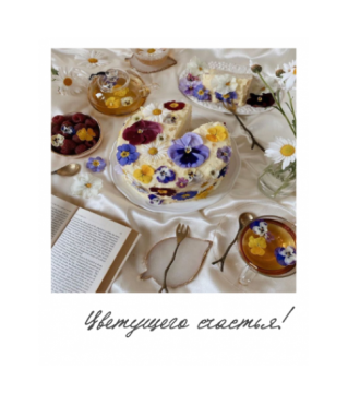 Открытка "Полароид" 11*9 см, дизайн 120