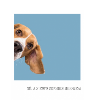Открытка "Полароид" 11*9 см, дизайн 91