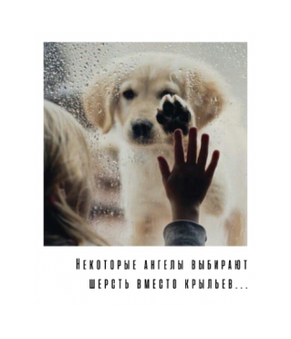 Открытка "Полароид" 11*9 см, дизайн 21