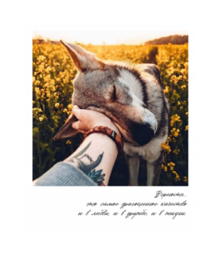 Открытка "Полароид" 11*9 см, дизайн 19
