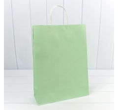Пакет подарочный Крафт Зелёный 26*33*12 120г 1/20 1/240