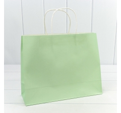 Пакет подарочный Крафт Зелёный 31,5*25*11,5см 120г 1/20 1/240