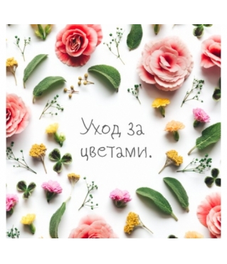 Открытка 10*10 см, дизайн 209