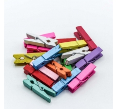 Цветочный аксессуар Прищепки декоративные Цветные (микс) 3,5*0,9*0,7 1/100 1/72