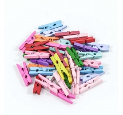 Цветочный аксессуар Прищепки декоративные Цветные (микс) 2,5*0,7*0,3 1/100 1/120