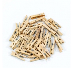 Цветочный аксессуар Прищепки декоративные 2,5*0,7*0,3 1/100 1/120