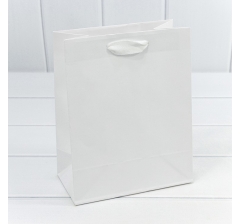 Пакет подарочный Крафт Белый 18*23*10 170г 1/20 1/360