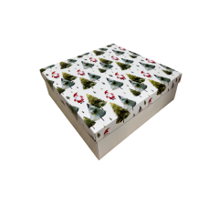 Коробка подарочная 270*180*50 мм, дизайн МО2025-2 с крафт/белым дном