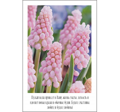 Открытка 9*6 см, дизайн 2