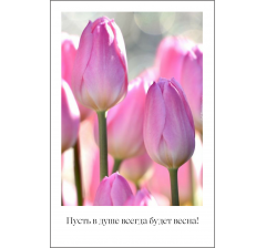 Открытка 9*6 см, дизайн 5