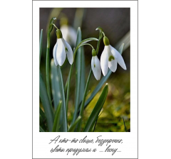 Открытка 9*6 см, дизайн 20