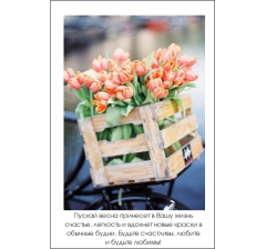 Открытка 9*6 см, дизайн 26