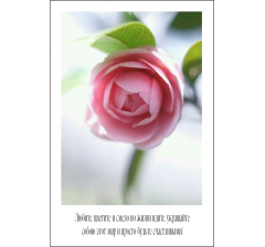 Открытка 9*6 см, дизайн 31