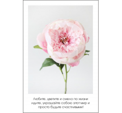 Открытка 9*6 см, дизайн 32