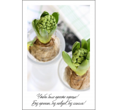 Открытка 9*6 см, дизайн 37