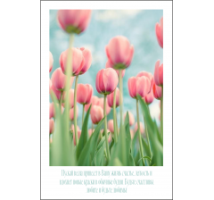 Открытка 9*6 см, дизайн 45