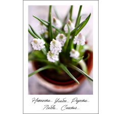 Открытка 9*6 см, дизайн 50