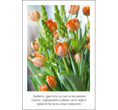 Открытка 9*6 см, дизайн 56