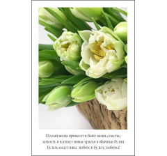 Открытка 9*6 см, дизайн 59