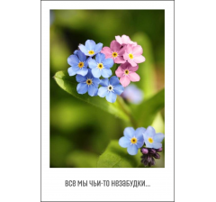 Открытка 9*6 см, дизайн 80