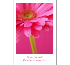 Открытка 9*6 см, дизайн 126