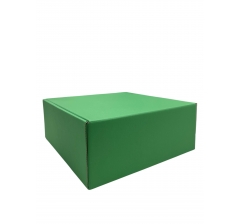 Коробка из МГК 250*250*100 мм, дизайн 16